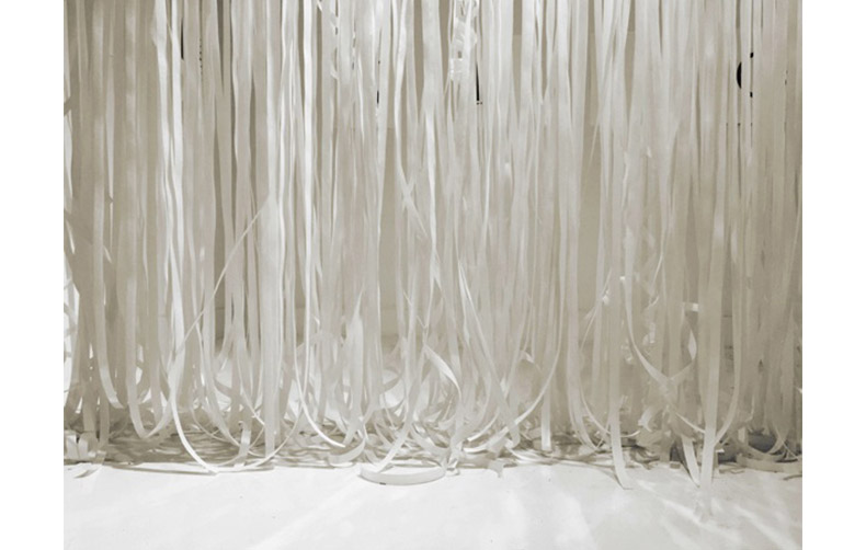 Rachel Morellet