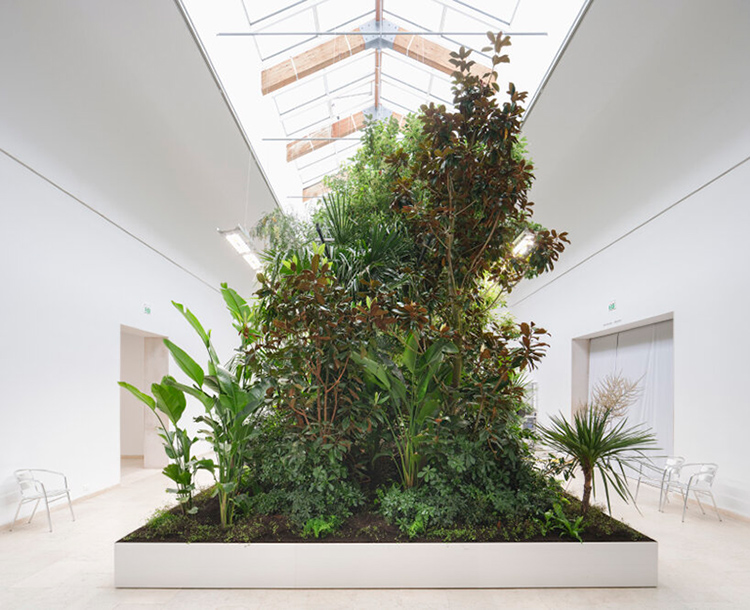 Building Biospheres