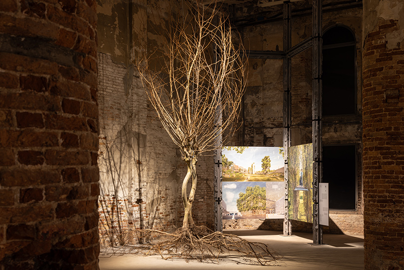 Intelligens Naturale. Artificiale. Collettiva