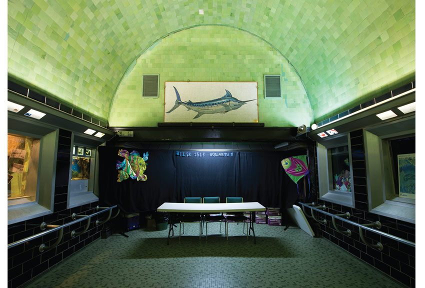 Derek Chang, New York, NY. Belle Isle Aquarium, 2013.