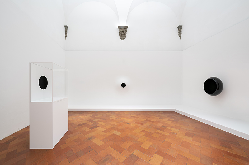  Anish Kapoor