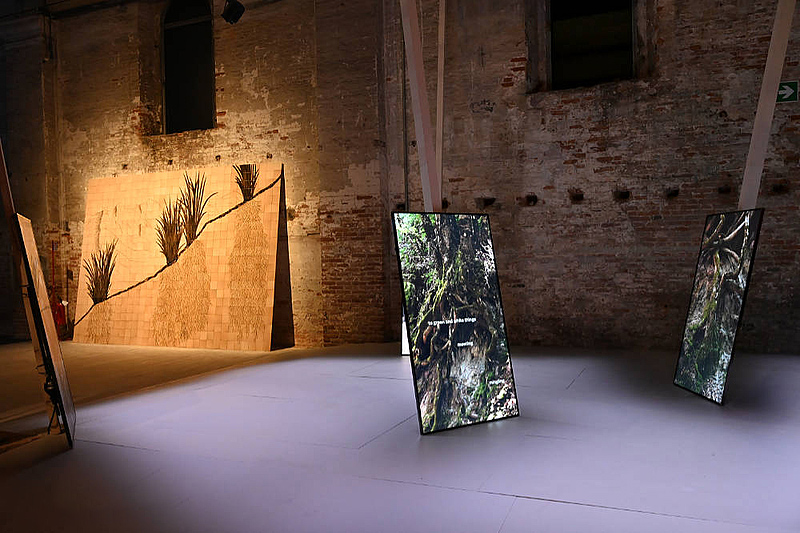 La Biennale di Venezia Arte 2026