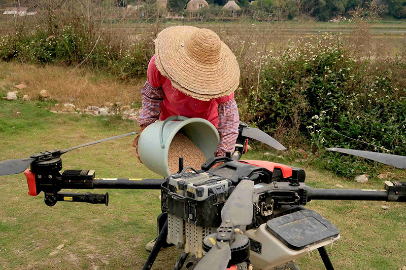 Cao Fei